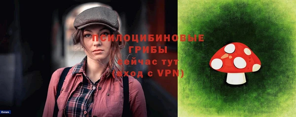 Альфа ПВП Абаза