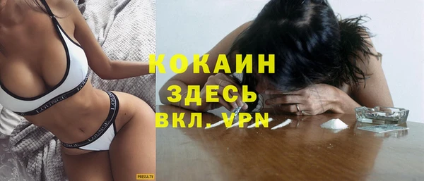 ешки Алзамай