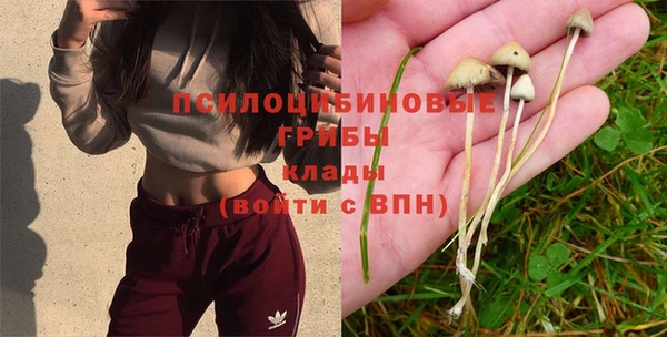 Альфа ПВП Абаза