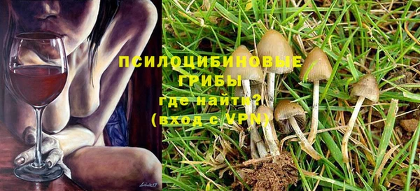 Альфа ПВП Абаза