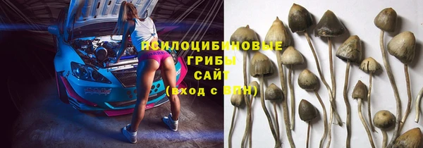 Альфа ПВП Абаза