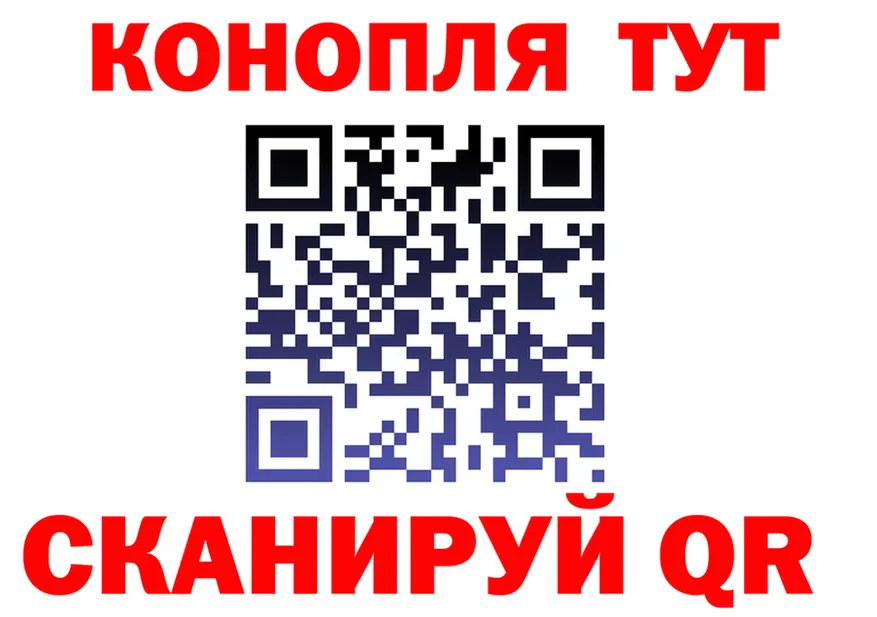 A PVP СК ТОР shop kraken Иланский